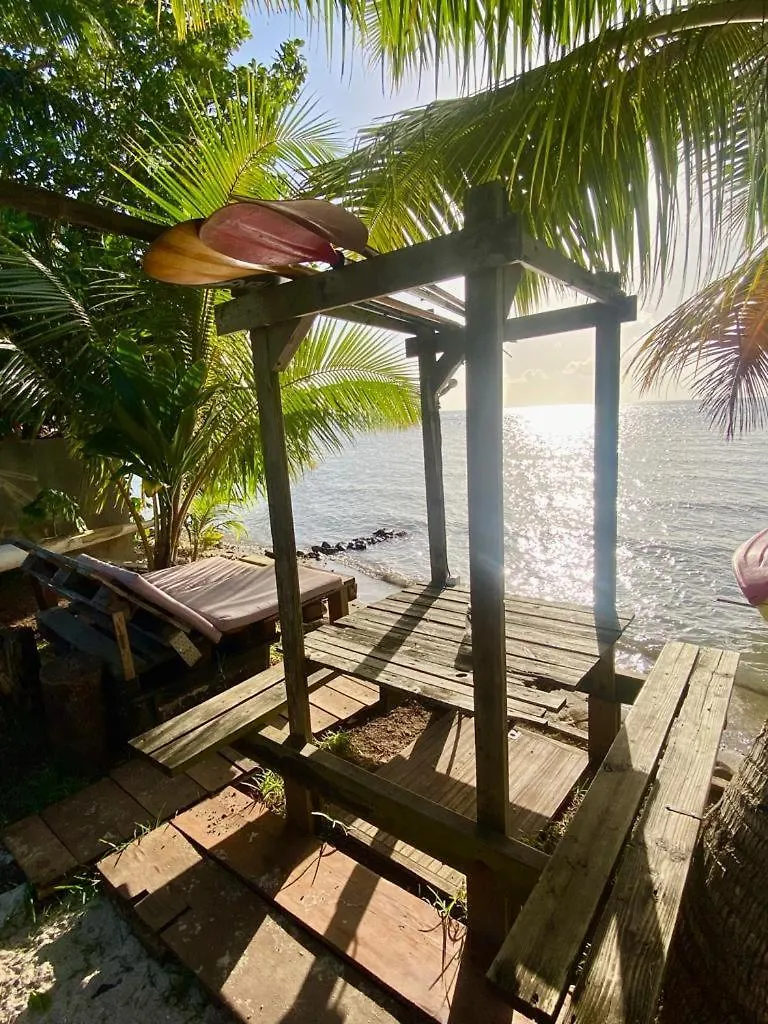Les Poissons Du Lagon Yh Uturoa Hostal